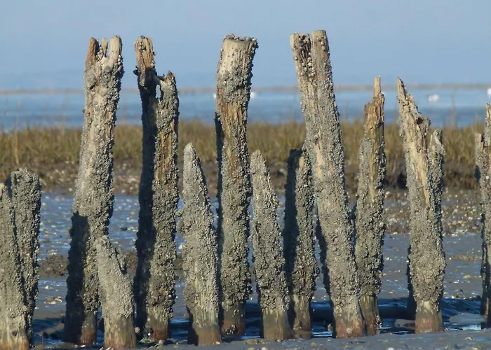 Nyaraló Ferienhaus-slanitz Harlesiel